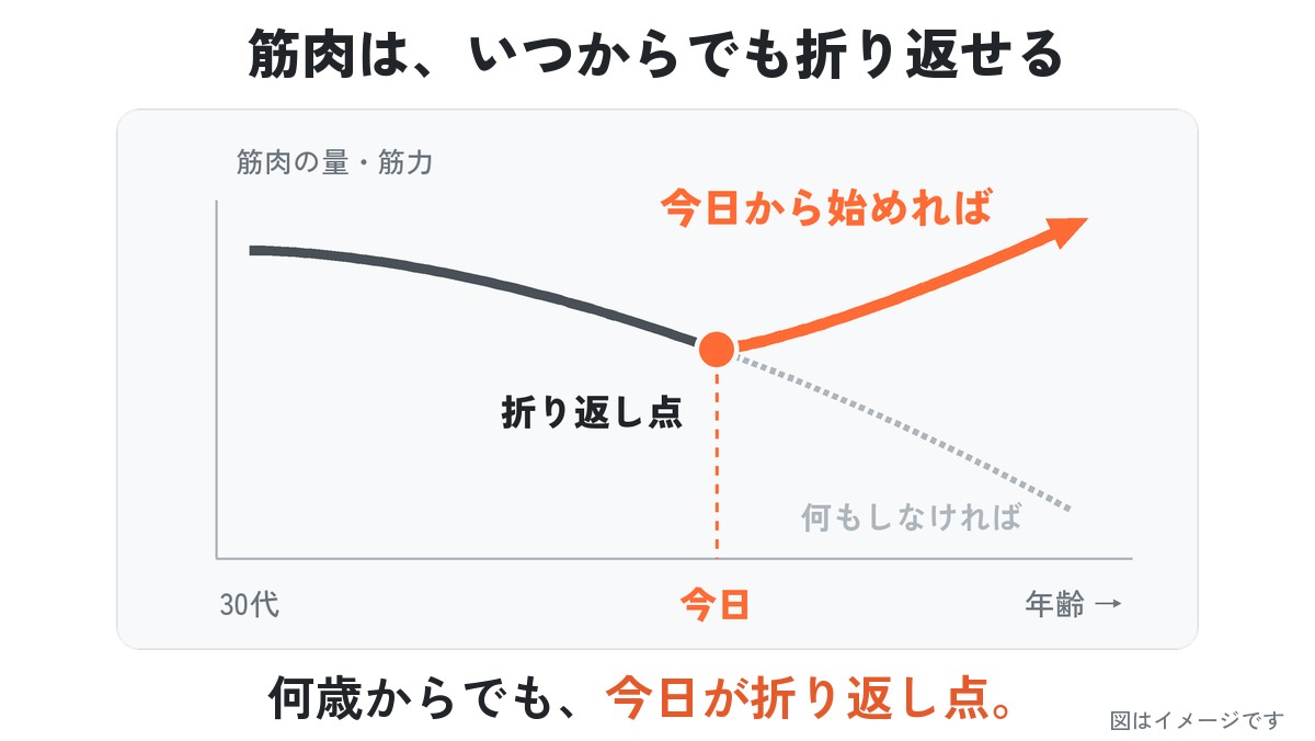 グラフ：筋肉は、いつからでも折り返せる。何歳からでも、今日が折り返し点。