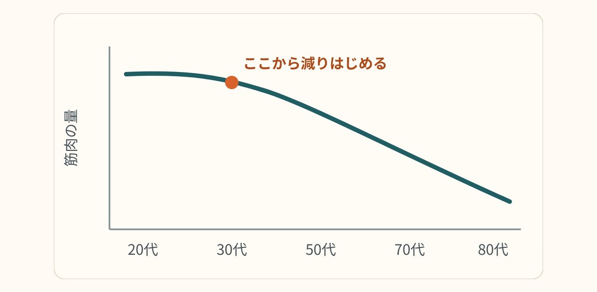 グラフ：筋肉は、30代から少しずつ減っていく。年齢は戻せない。でも、筋肉は戻せる。