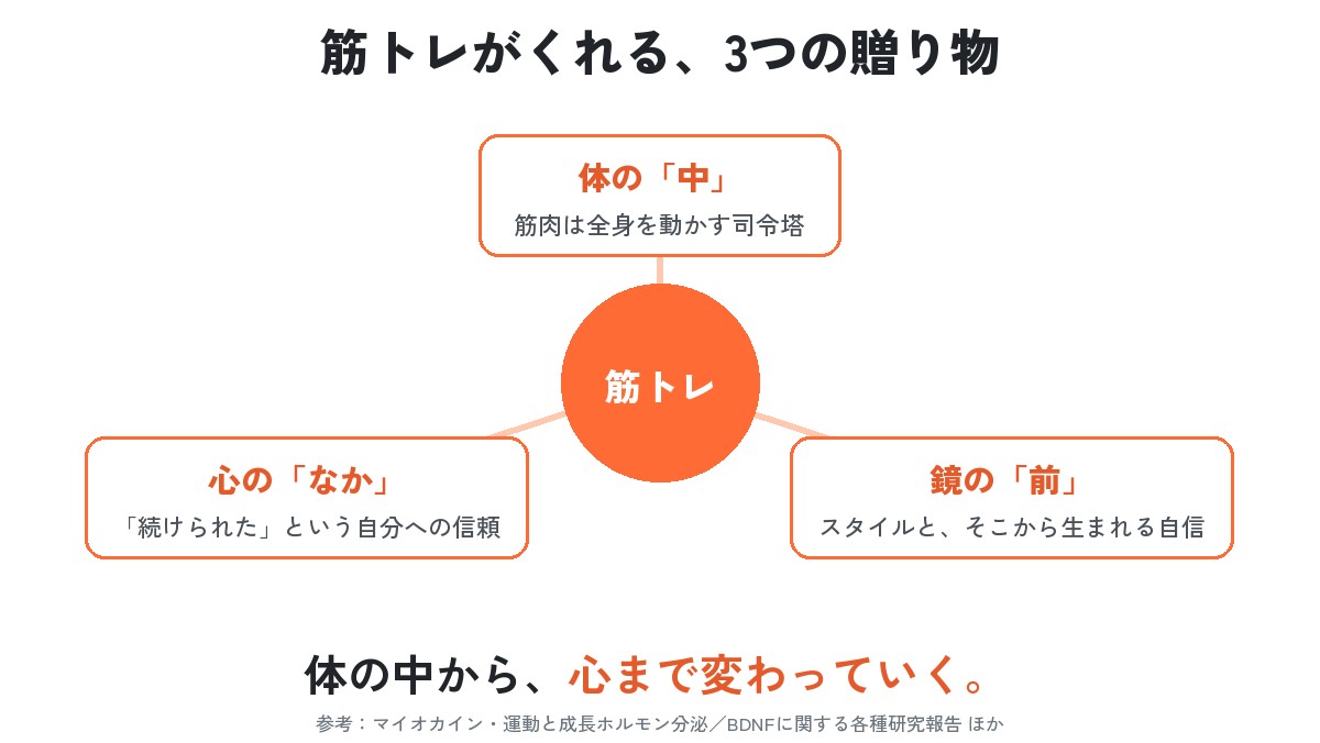 図：筋トレがくれる3つの贈り物。体の中（筋肉は全身を動かす司令塔）、鏡の前（スタイルと自信）、心のなか（続けられたという自分への信頼）。