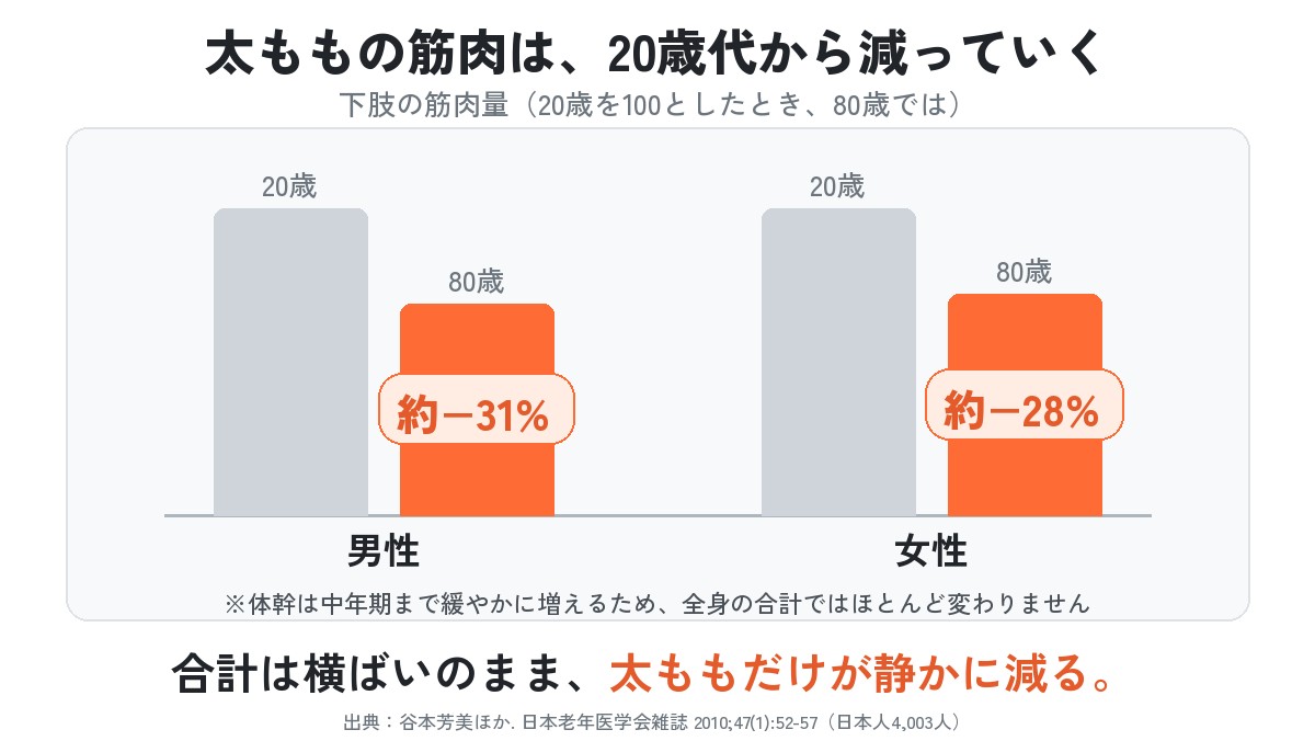 グラフ：下肢の筋肉量は、20歳を100とすると80歳では男性で約31%、女性で約28%少ない。体幹は中年期まで緩やかに増えるため、全身の合計ではほとんど変わらない。