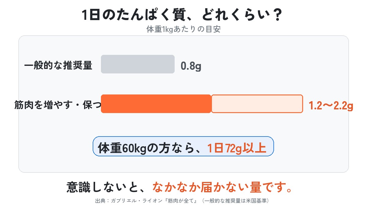 グラフ：1日のたんぱく質の目安（体重1kgあたり）。一般的な推奨量0.8g、筋肉を増やす・保つには1.2〜2.2g。体重60kgなら1日72g以上。