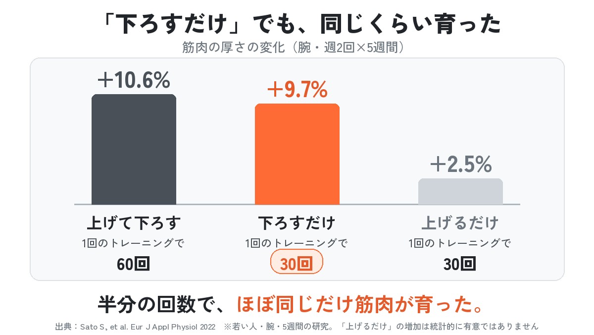 「下ろすだけ」でも、同じくらい育った。半分の回数で、ほぼ同じだけ筋肉が育った。